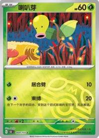 マダツボミ
